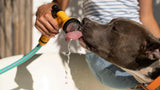 Beat the Heat: Ultimate Guide to Summer Dog Care - YMOAs