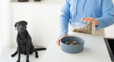 The Ultimate Guide to Choosing the Best Dog Food (Backed by Real Science!) - YMOAs