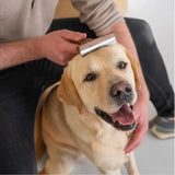 Winter Care for Dogs: Essential Tips for Every Dog Breed - YMOAs