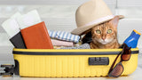 Best Pet Carrier for European Travel: Airline & Train Guide