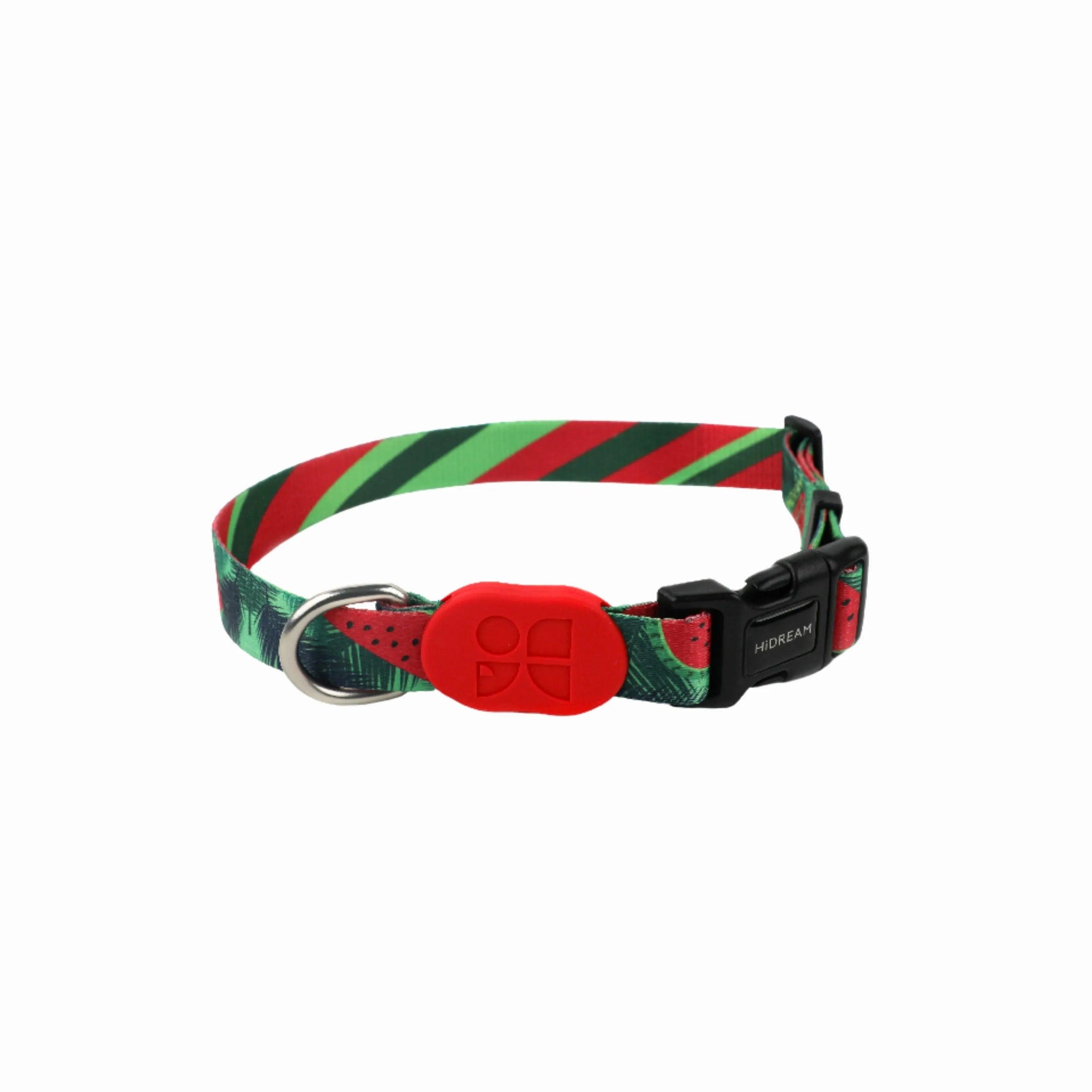 Heyday Discover Dog Collar Watermelon - YMOAs