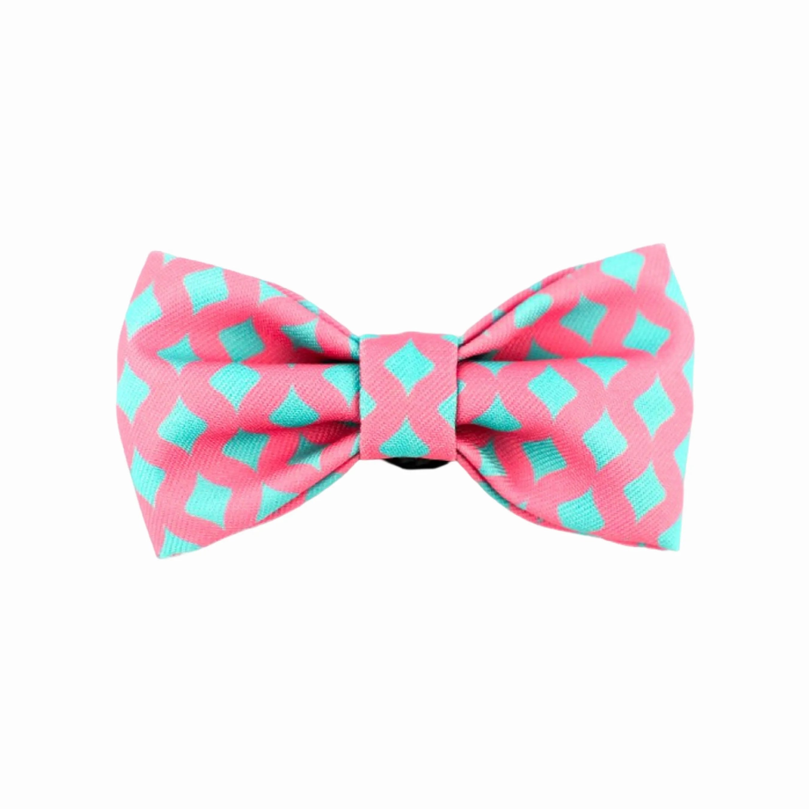 Heyday Discover Bow Tie for Pets Poppy - YMOAs