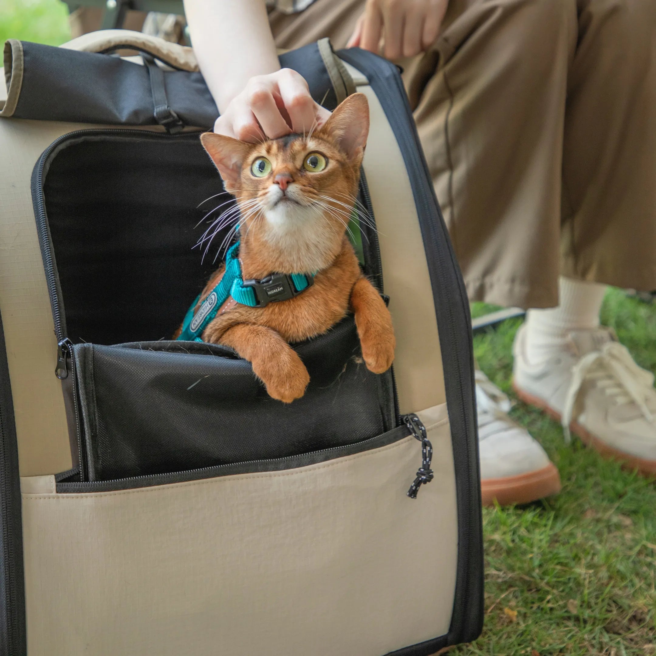 Adventure Paws Cat Carrier Backpack Cream Beige - YMOAs