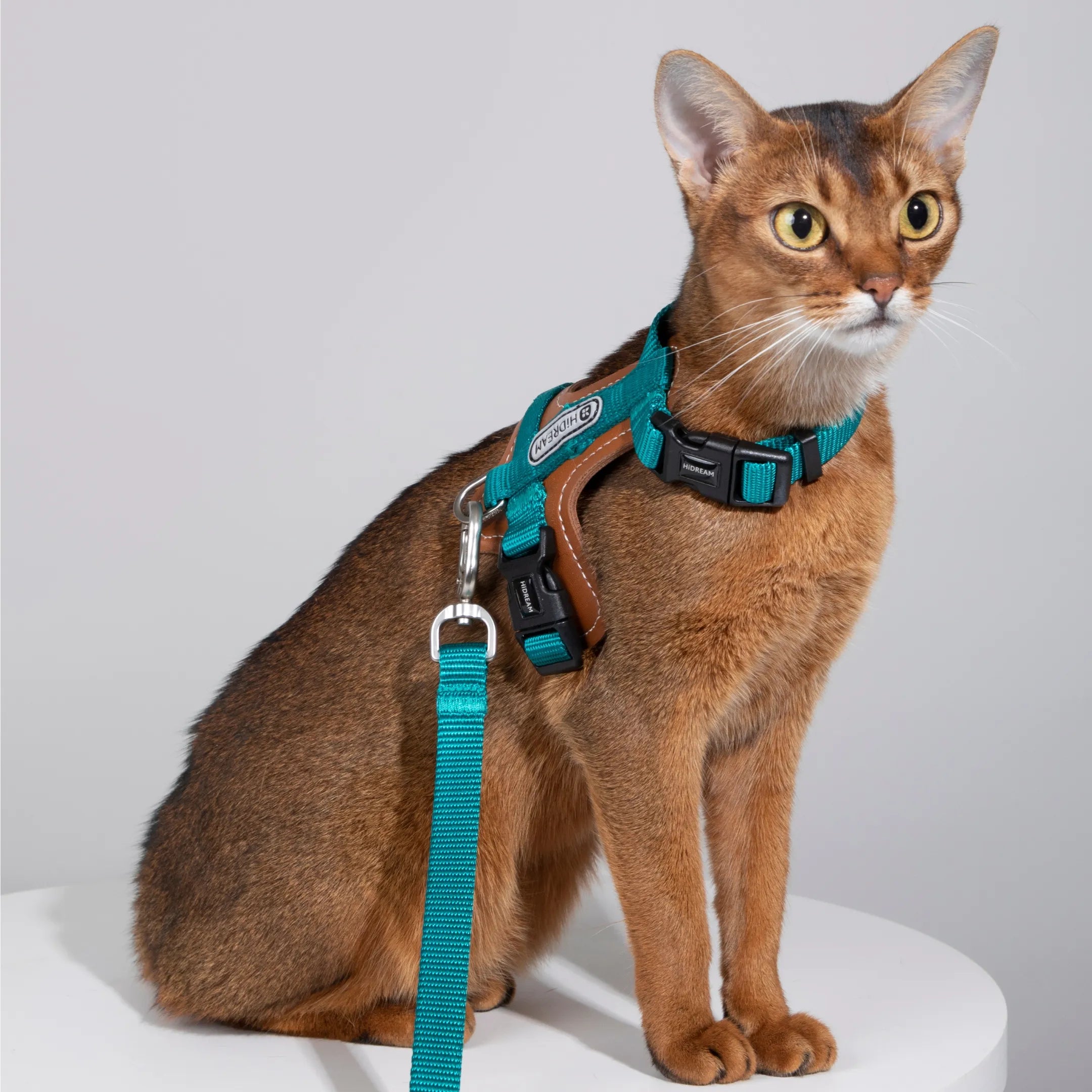 Heyday Harness and Leash Set for Cats Turquoise - YMOAs