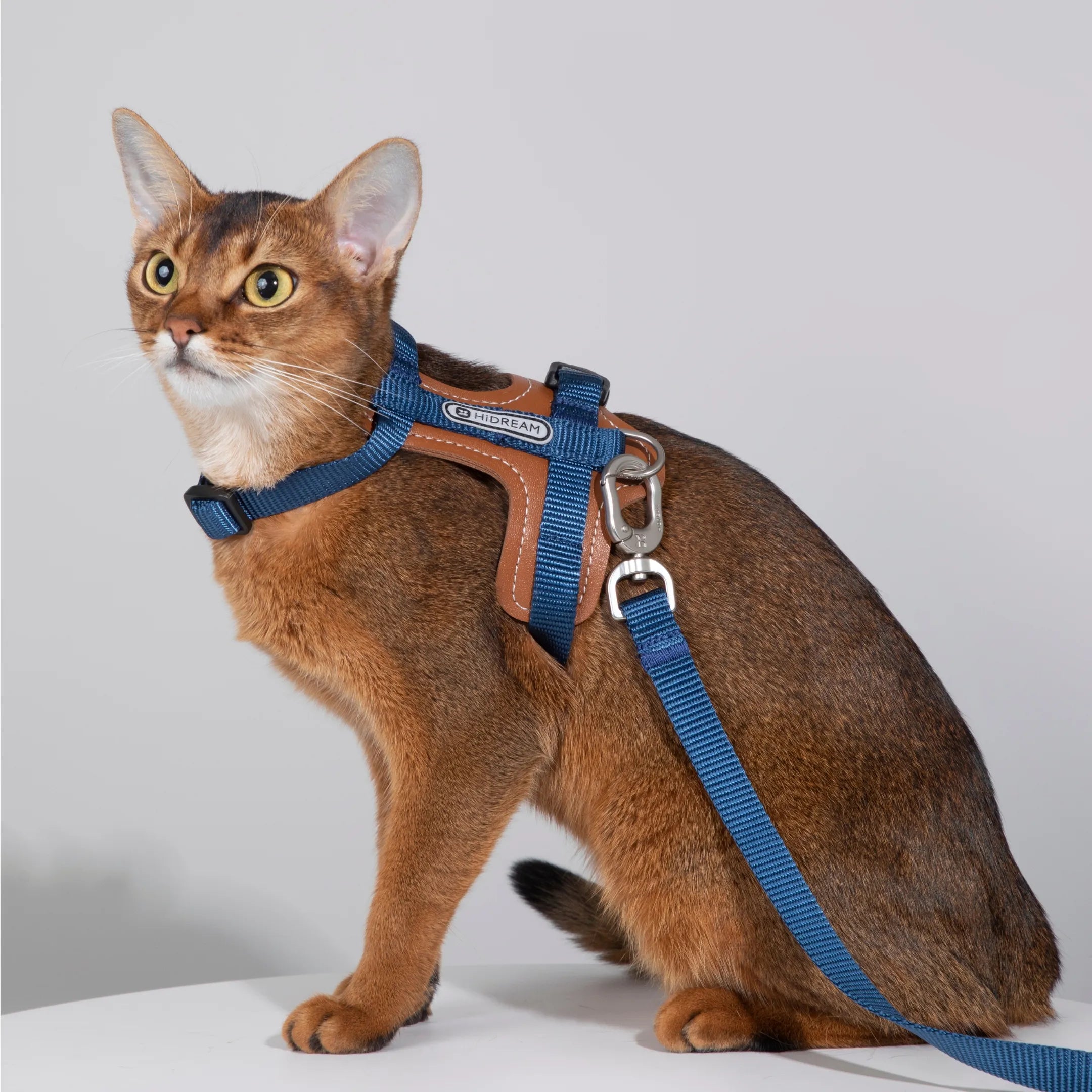 Heyday Harness and Leash Set for Cats Navy - YMOAs