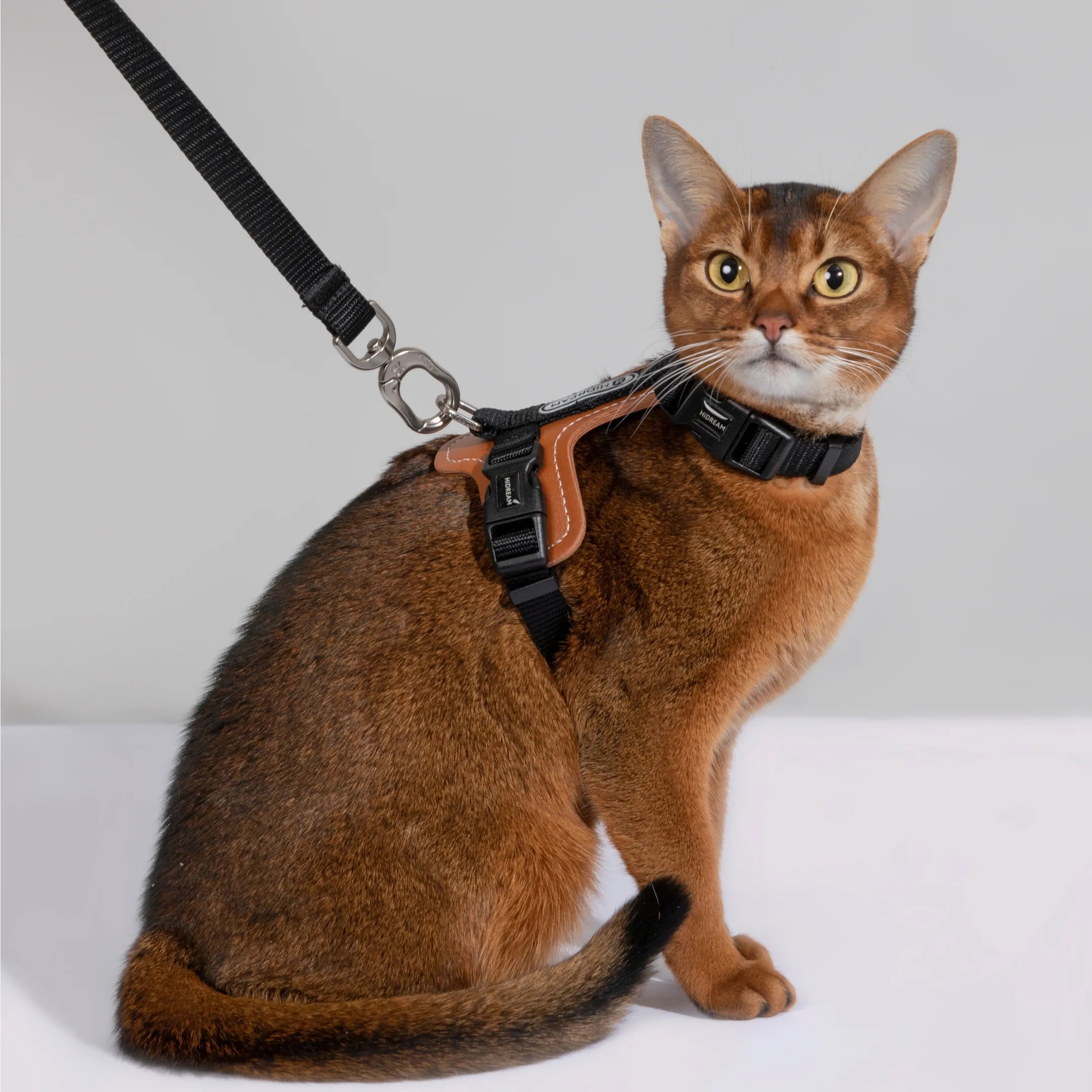 Heyday Harness and Leash Set for Cats Black - YMOAs