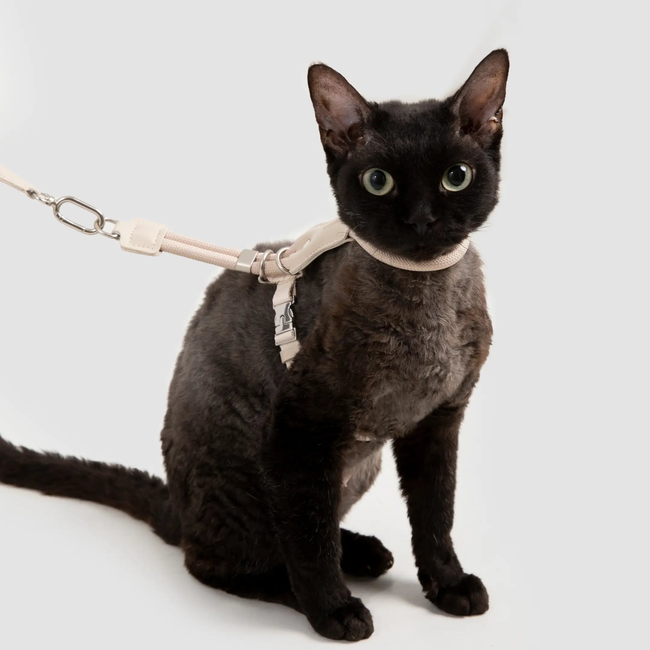 Rope & Leather Cat Harness & Leash Set
