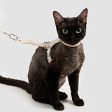 Rope & Leather Cat Harness & Leash Set