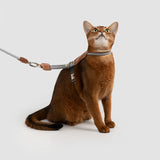 Rope & Leather Cat Harness & Leash Set