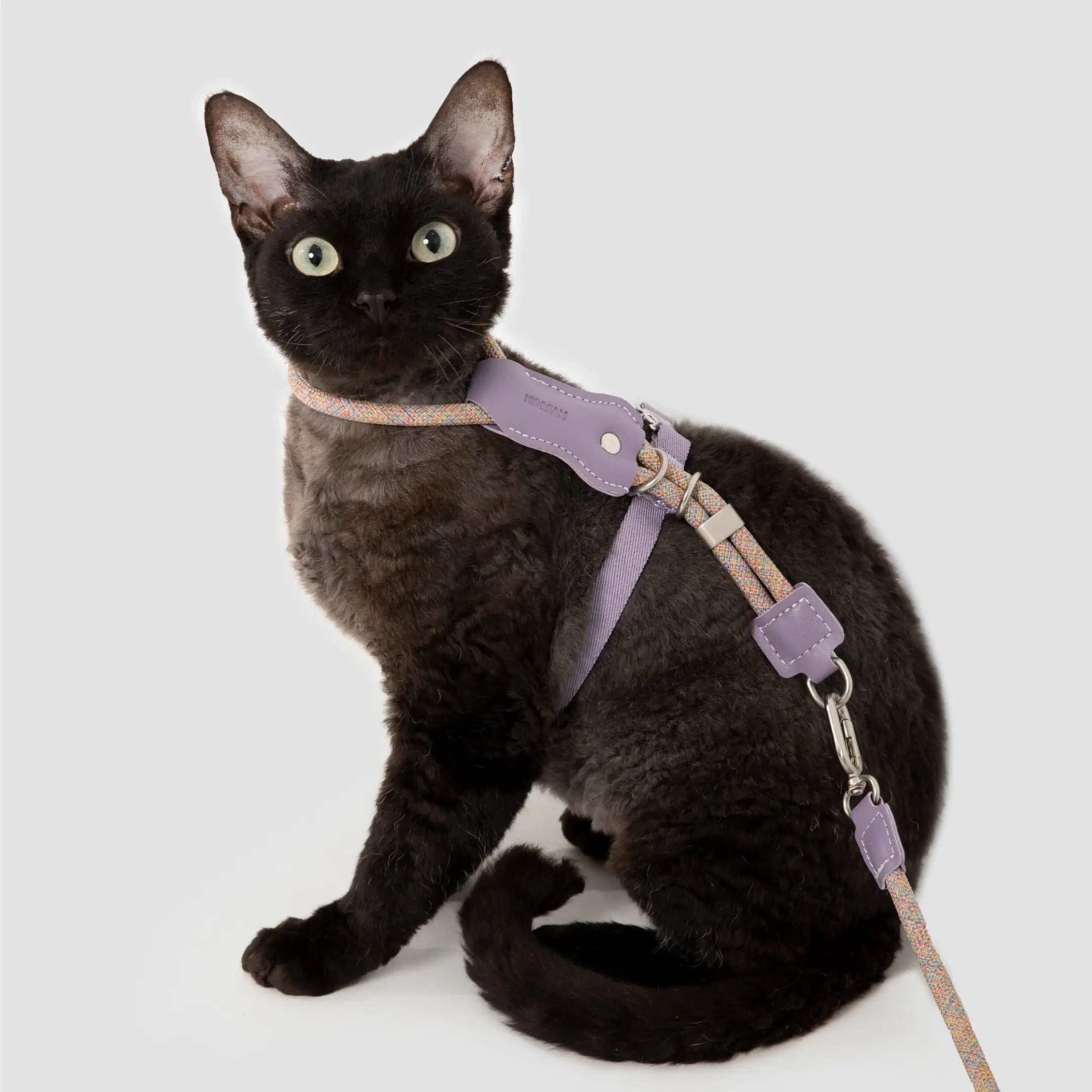 Cat Harnesses Rope Adjustable Rope & Leather Cat Harness with Anti-Choke Fit | YMOAs