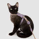 Rope & Leather Cat Harness & Leash Set