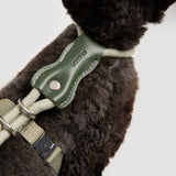 Rope & Leather Cat Harness & Leash Set