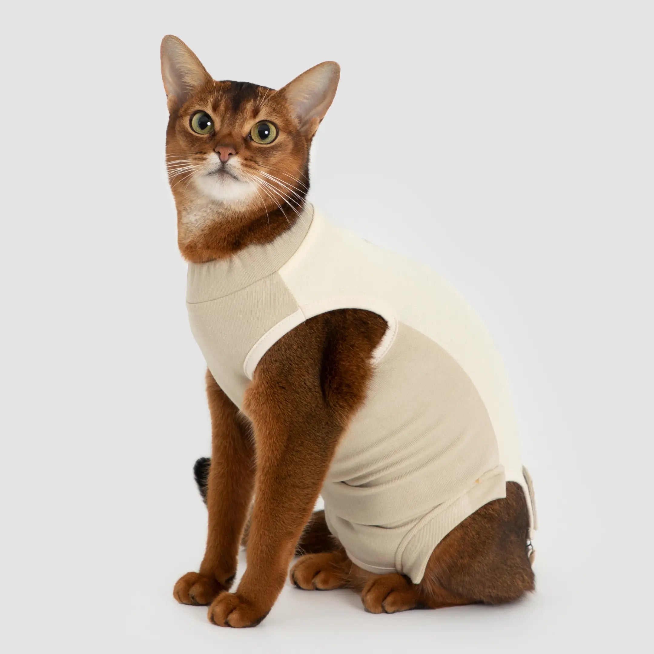 Easy Recover Cat Recovery Suit