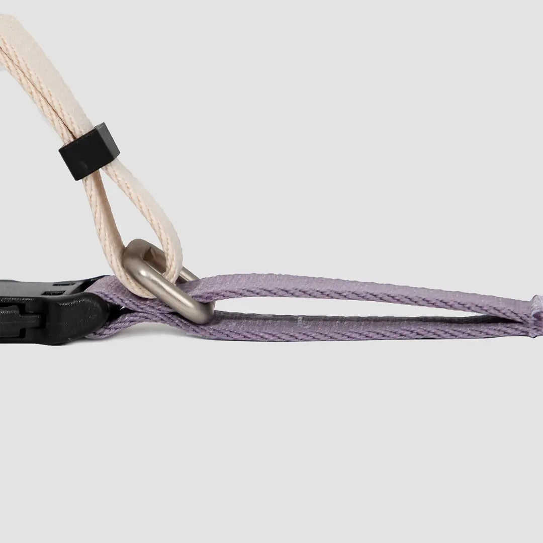 Heyday Hiker Anti-Pulling Dog Collar Lilac