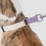 Heyday Hiker Anti-Pulling Dog Collar Lilac