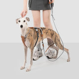 Heyday Urban Explorer Leash