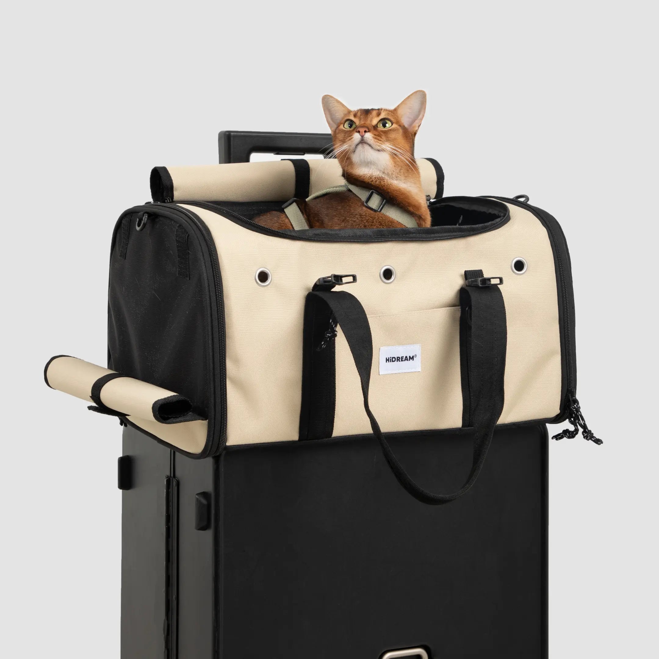 JetSet Go Pet Travel Tote Airline-Approved