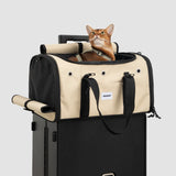 JetSet Go Pet Travel Tote Airline-Approved