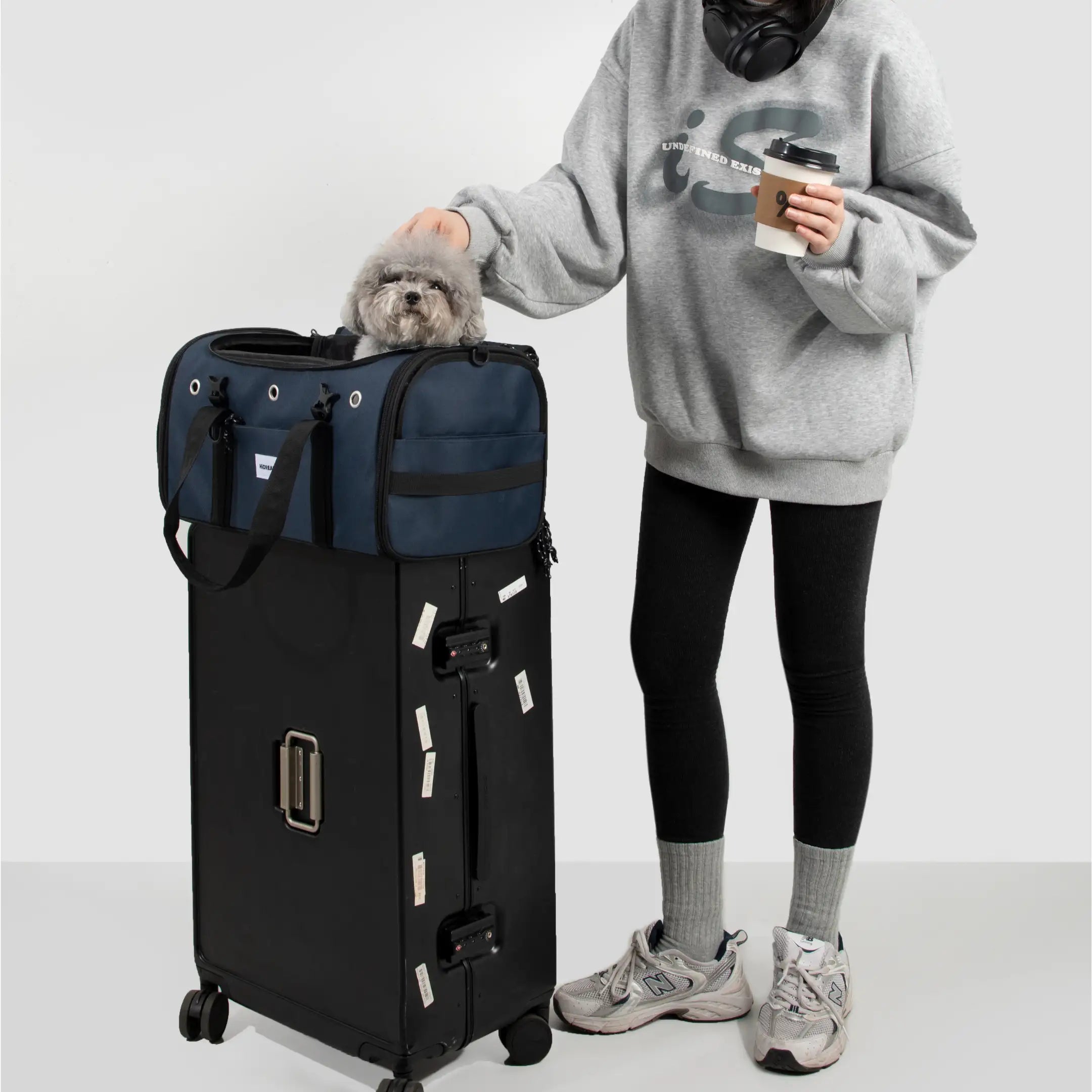 JetSet Go Pet Travel Tote Airline-Approved