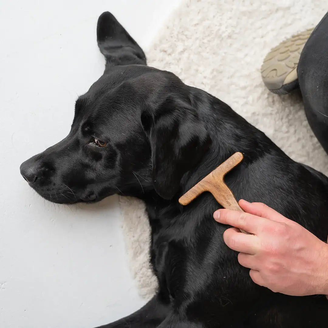 Forester De - Shedding Tool for Dogs and Cats - YMOAs - Forester De - Shedding Tool for Dogs and Cats