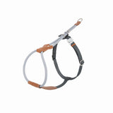 Heyday Urban Ridge Dog Harness