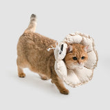 Easy Recovery Flower Collar Flex