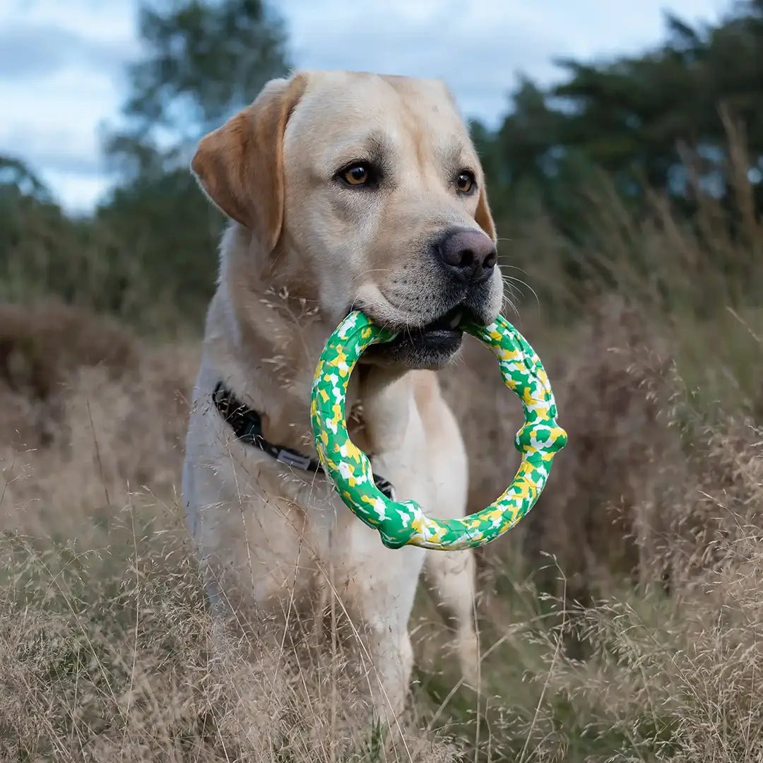 Nomi Rubber Ring Dog Toy - YMOAs - Nomi Rubber Ring Dog Toy