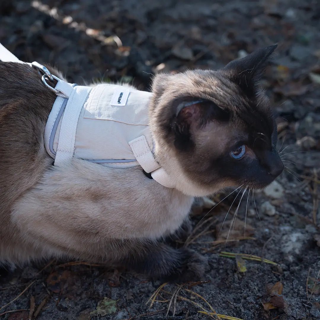 Reflective Cat Harness & Leash Set Cream Beige - YMOAs - Reflective Cat Harness & Leash Set Cream Beige