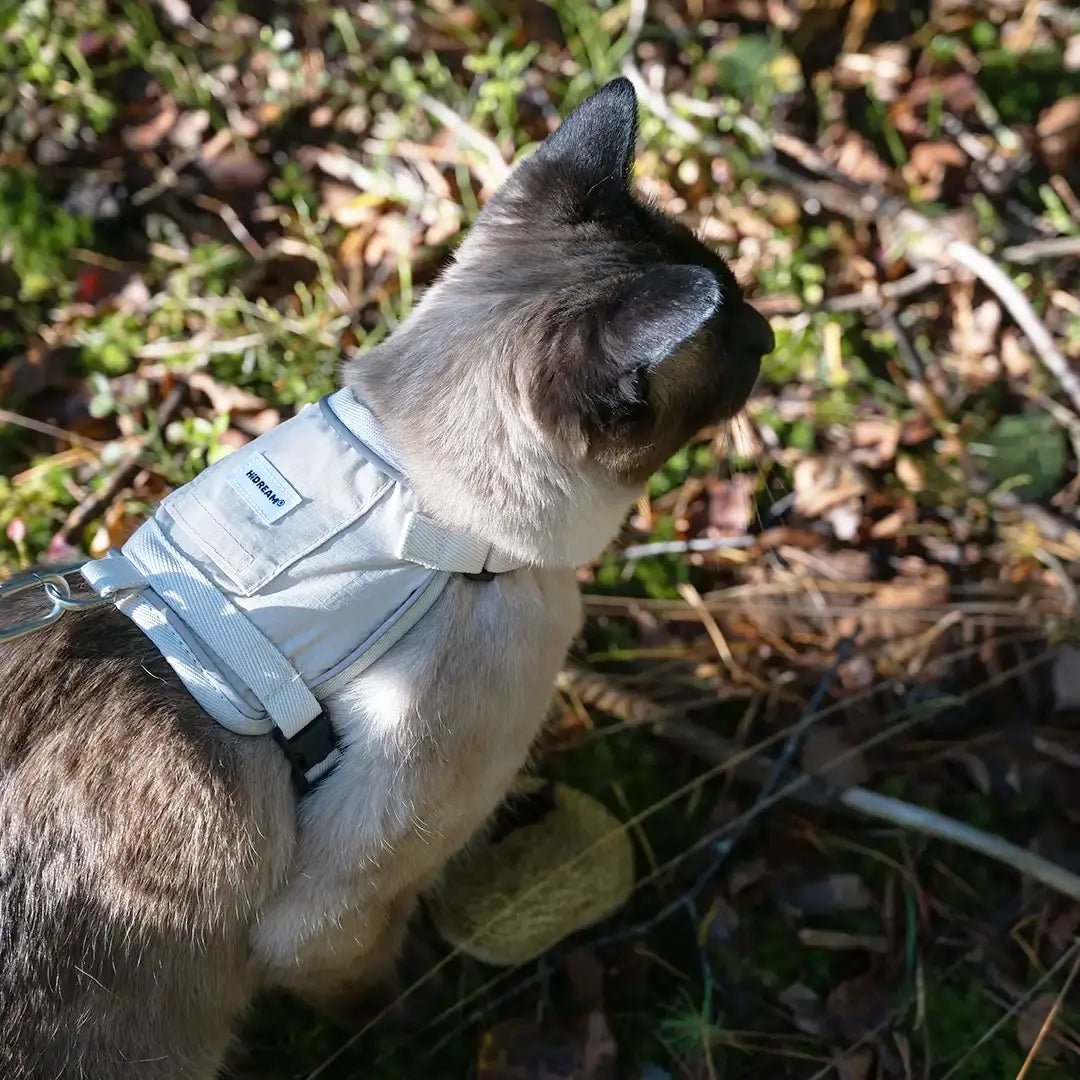 Reflective Cat Harness & Leash Set Cream Beige - YMOAs - Reflective Cat Harness & Leash Set Cream Beige